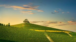 Restaurant Hérouville-Saint-Clair